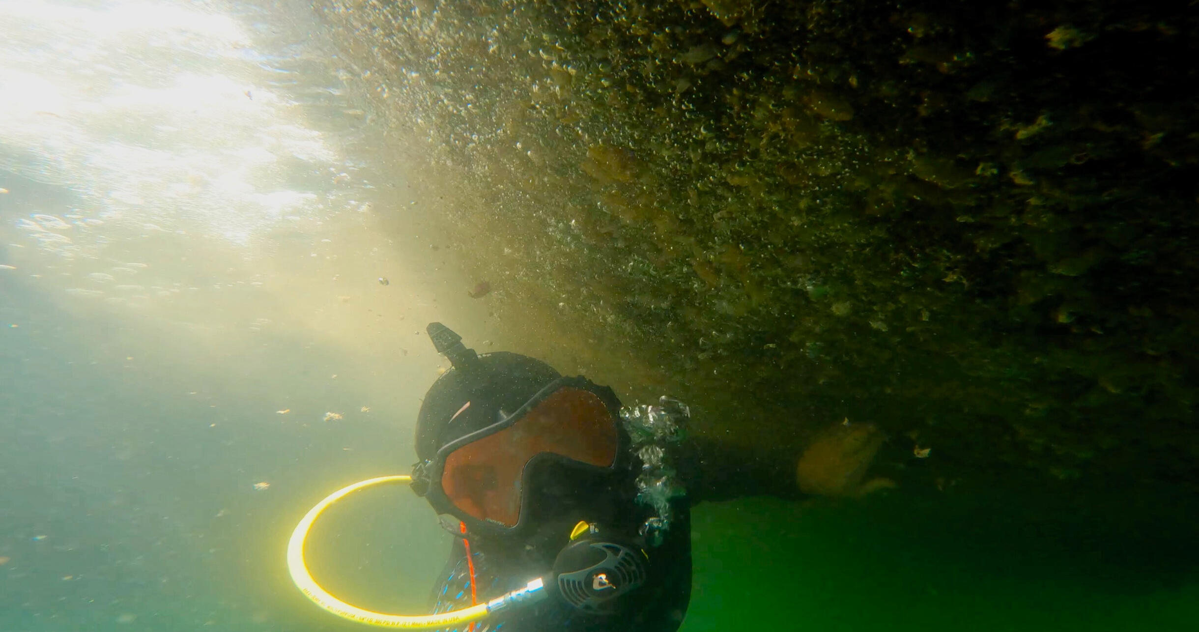 search & recovery diver diver swimming to recover lost object